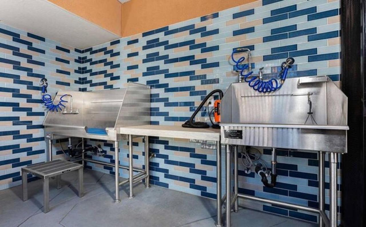 דירות San Jose 1Br W Gym Pool Wd Nr Highways Vta Sfo-549 מראה חיצוני תמונה